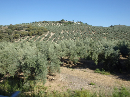 On the road to Montefrío.